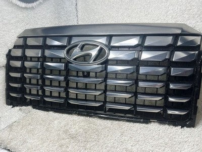 2023-2024 Hyundai Palisade LX2 Front Upper Grille w/Camera OEM 86350-S8SB0